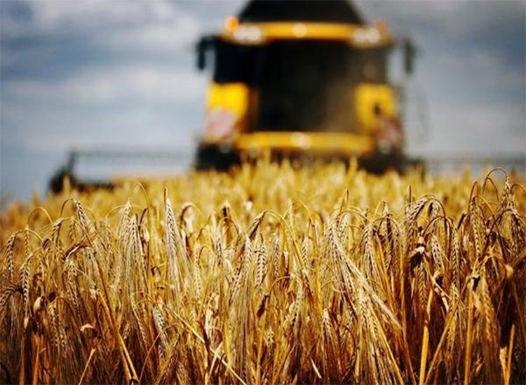 澳大麥豐收，銷路卻成了問題，印度有意接盤卻引來農(nóng)民不滿【潤康】磨煤機(jī)磨輥對此看法?