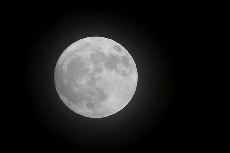 磨煤機(jī)磨輥 磨煤機(jī)磨輥