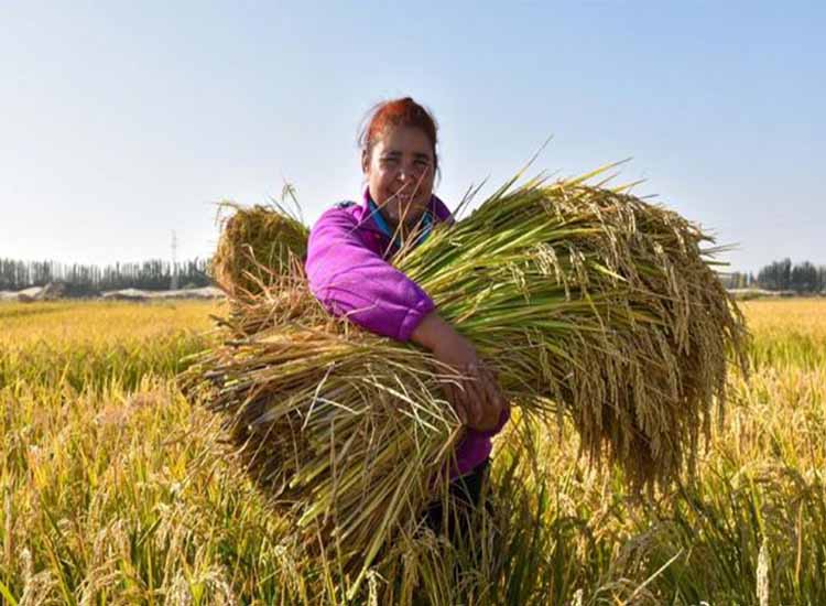 1602568667271788.jpg 未標題-1-11111.jpg